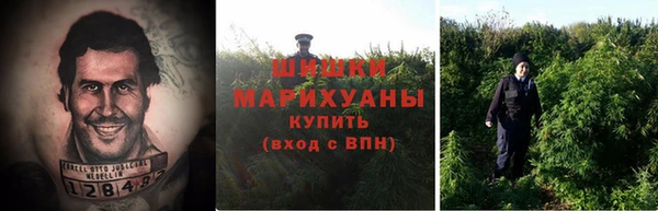 прущий лед Абаза