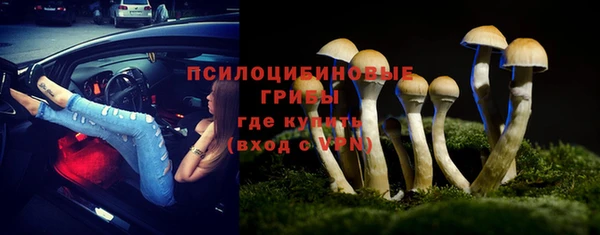 ПСИЛОЦИБИНОВЫЕ ГРИБЫ Абинск