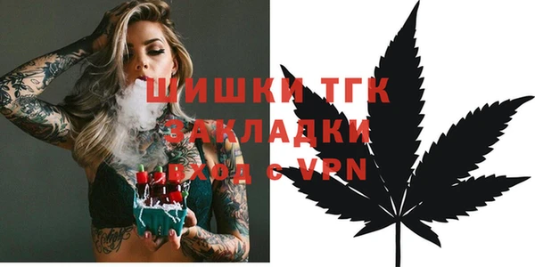 тгк Пересвет
