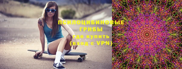 ПСИЛОЦИБИНОВЫЕ ГРИБЫ Абинск